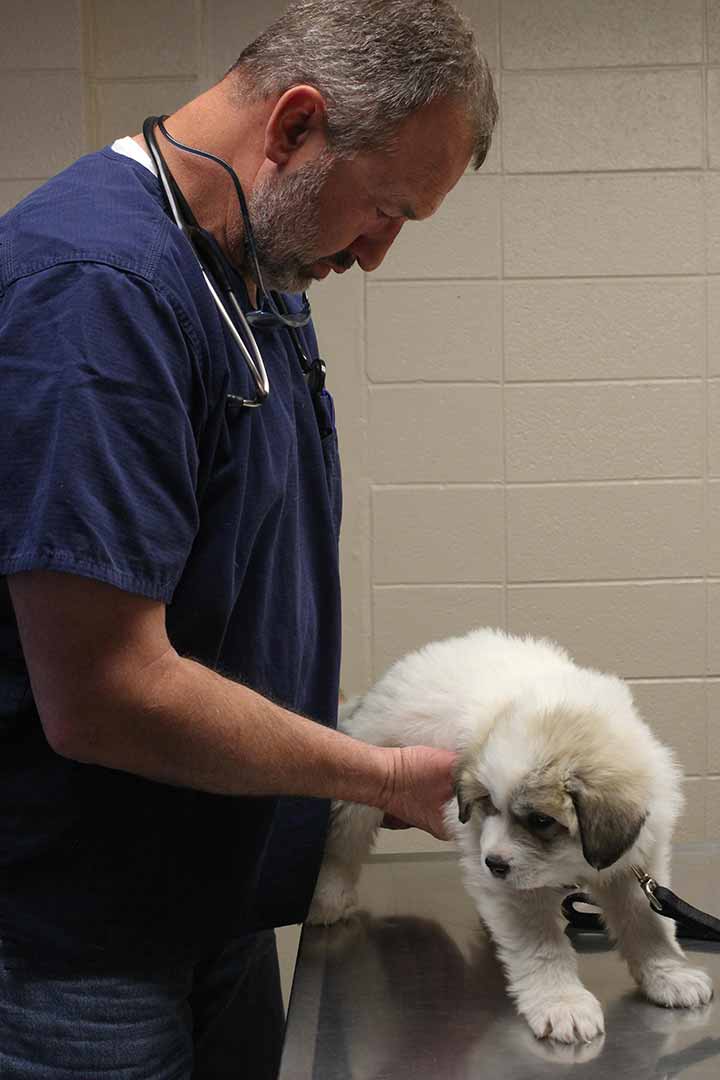 Dr. Troy Thompson | Tri-State Veterinary Clinic